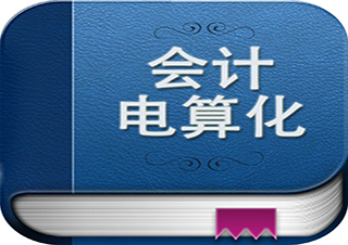 會計(jì)電算化