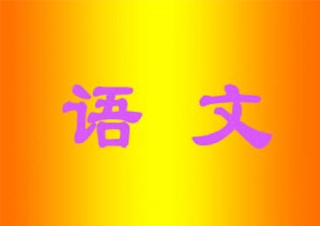 小学六年级语文VIP一对一课程