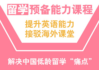 英语能力VIP一对一定制课程