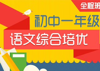 初中一年级语文VIP一对一课程