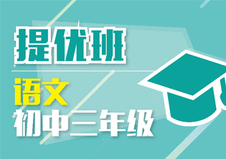 初中三年级语文VIP一对一课程