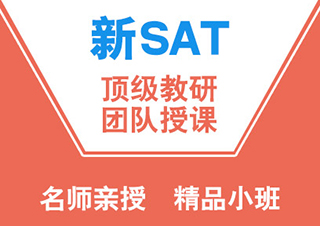 新SAT冲1300分基础班（A+B）