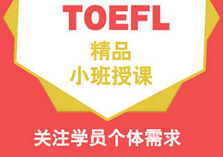 托福强化冲100分3人班（C）