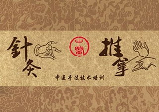 中醫(yī)針灸基礎(chǔ)班