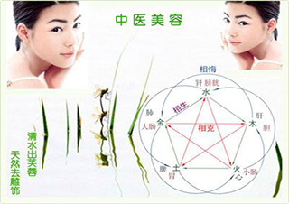 中醫(yī)美容班
