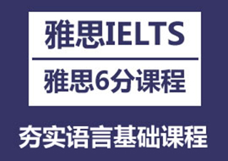 能力端Level33人小组课