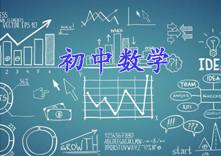 初中二年级数学VIP一对一课程
