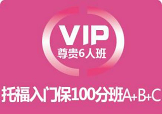 托福VIP定制課程輔導(dǎo)