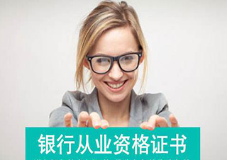 銀行業(yè)專業(yè)人員初級職業(yè)資格考試