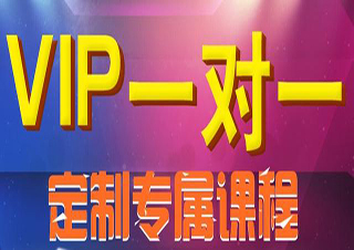 VIP尊享课程（不限语种）