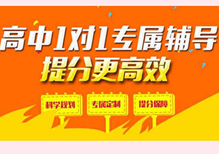 高中数学1对1课程