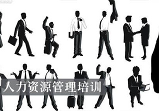 人力资源管理师一级