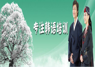韩语VIP一对一培训