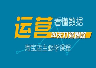 上海淘寶運(yùn)營實(shí)戰(zhàn)培訓(xùn),電商運(yùn)營培訓(xùn)班