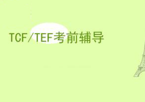 法语TEF/TCF考前辅导班