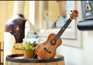 尤克里里（Ukulele）培训班