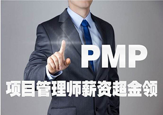 国际项目管理(PMP等)