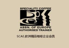 SCAE欧洲咖啡创业班