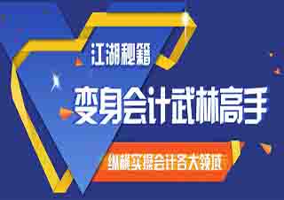 會計(jì)精英實(shí)操課程