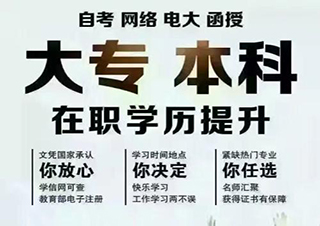中英合作商务管理、金融管理自考双证本科