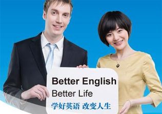 石家庄韦博定制化英语培训深度解析