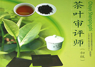 茶葉審評師考級班