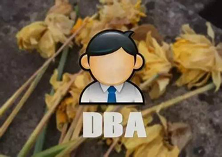 荷兰商学院DBA北京学位班