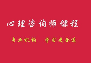 心理咨询师二级网络高端课程