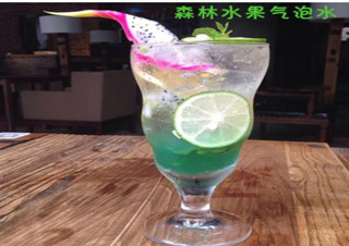 氣泡水培訓(xùn)