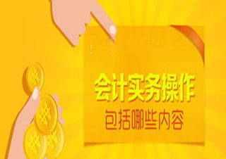 會(huì)計(jì)實(shí)務(wù)操作班