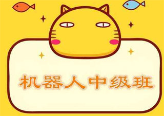 機(jī)器人進(jìn)階（10-11歲）