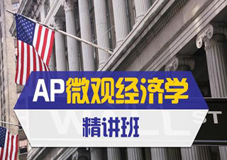 AP微觀經(jīng)濟學課程