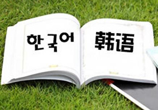 韩语初级阶段精品课程