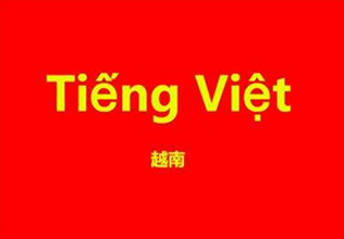 石家庄专业越南语课程深度解析