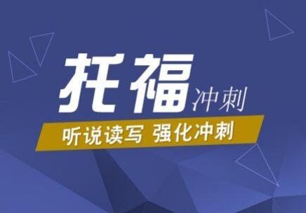 托福100分VIP强化班