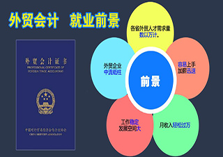 会计学高起专