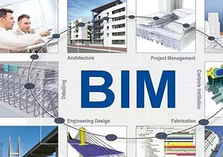 BIM项目总监