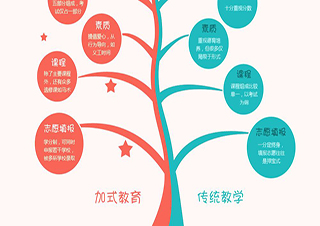 初中课程