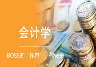 會計(本科)