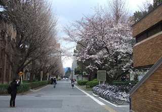 日本名校申请直通车项目