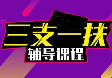 高校毕业生三支一扶一对一针对性辅导