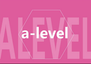 A-Level課程輔導(dǎo)
