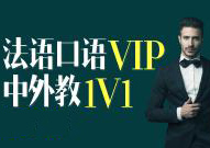 法语VIP1对1尊贵课程