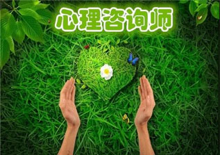 双认证咨询师培训体系深度解析