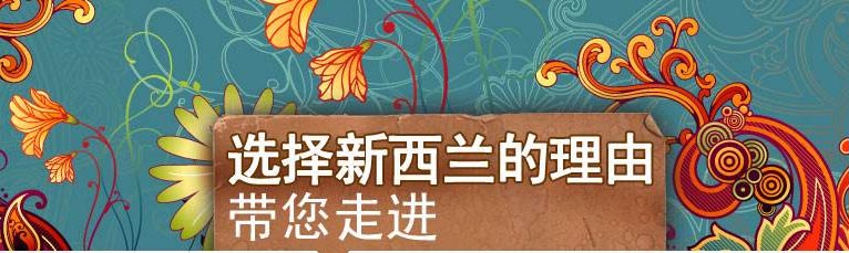 新西兰教育体系图解