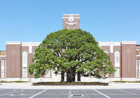 京都大学