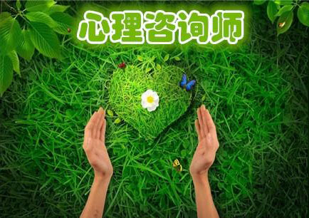 心理培训师高级连续训练项目
