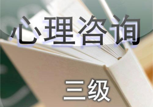心理咨询师三级直通车课程