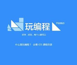 中年职业转型启示录：编程学习的破局之道