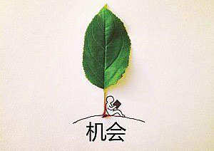 国际经济与贸易高起专